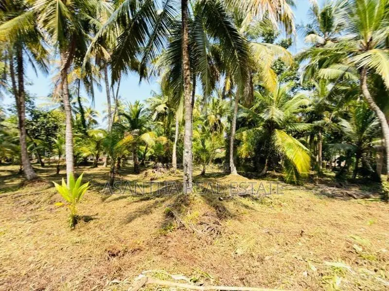 (AF631) 58P Land at 200 M Galle Road Wadduwa Kalutara