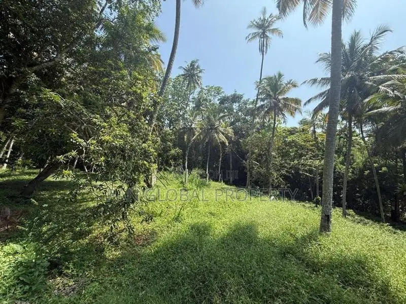 Land for Sale in Galle