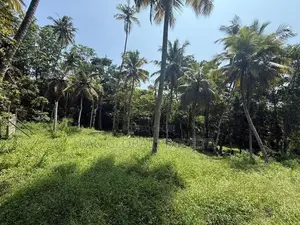 Land for Sale in Galle