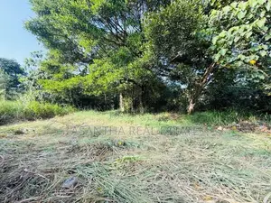 (AFA919) 13.7 P Residential Land at : Malabe