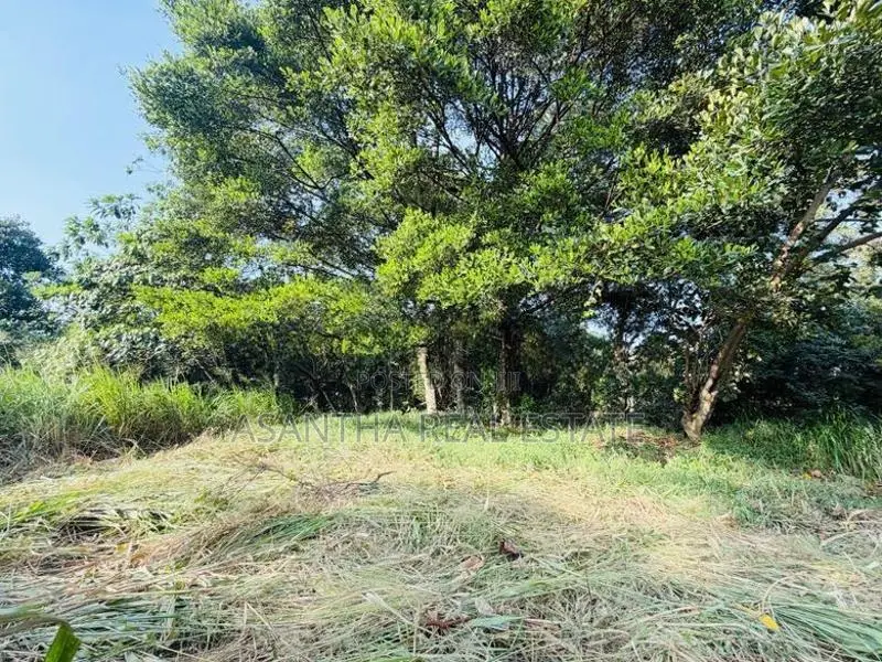(AFA919) 13.7 P Residential Land at : Malabe