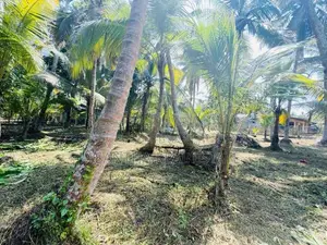 (AFA925) 58 P Land At 200 M Galle Road Wadduwa Kalutara
