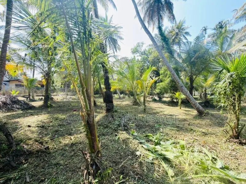 (AFA925) 58 P Land At 200 M Galle Road Wadduwa Kalutara