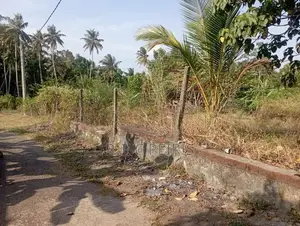 Land For Sale Ethgala Katana Gampaha