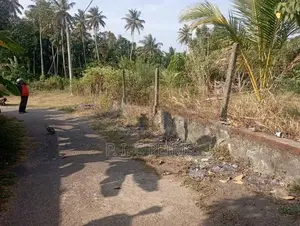 Land For Sale Ethgala Katana Gampaha