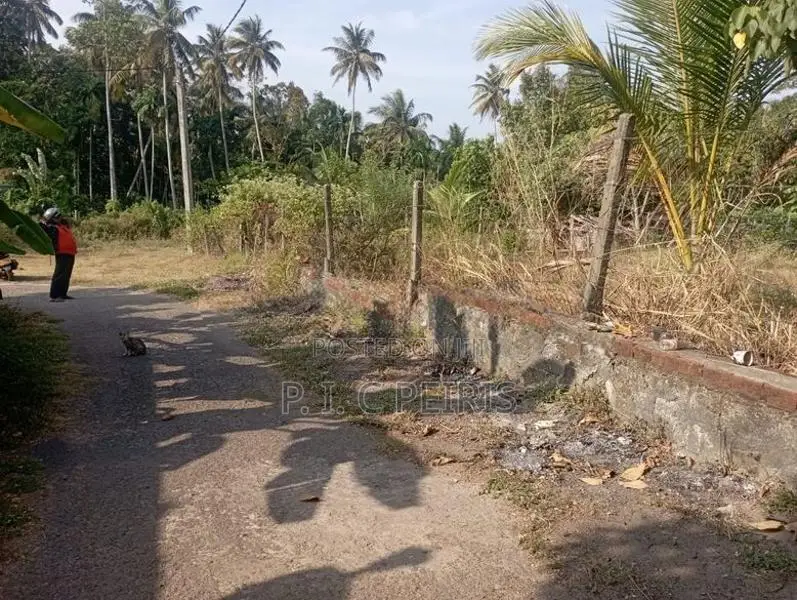 Land For Sale Ethgala Katana Gampaha