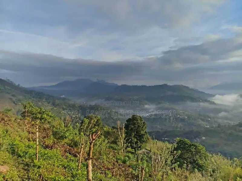 Hali Ela : 2 Acres Land for Sale