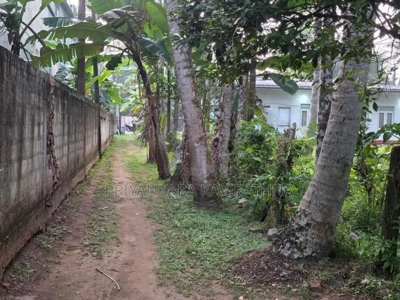 ගාලුපාරට සමීප පර්චස් 20 ක පැරනි නිවස ඉඩමේ වටිනාකමට - දලුවත්ත