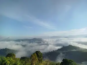 Hali Ela : 2 Acres Land for Sale
