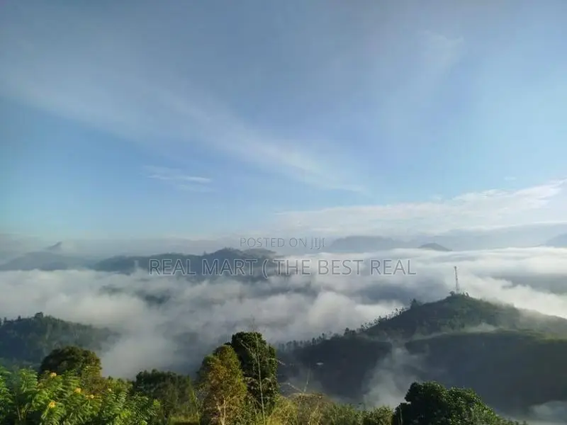 Hali Ela : 2 Acres Land for Sale