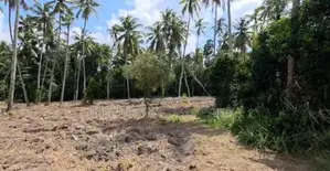 Commercial Land for Sale in Divulapitiya (sp1057)