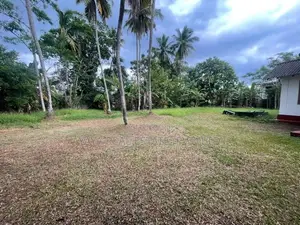 Commercial Land for Sale in Piliyandala
