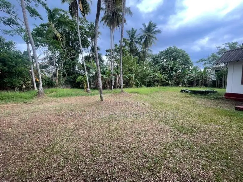 Commercial Land for Sale in Piliyandala