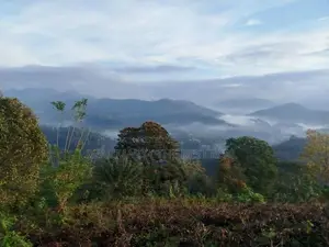 Hali Ela : 2 Acres Land for Sale