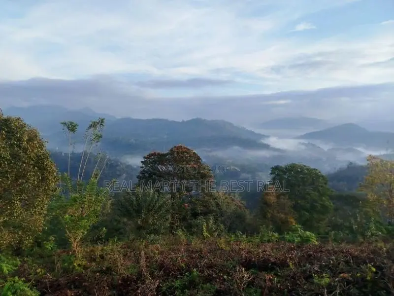 Hali Ela : 2 Acres Land for Sale