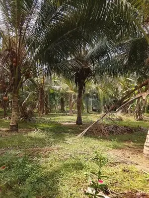 Land for Sale in Bandaragama (sp1060)