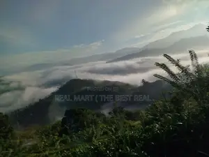 Hali Ela : 2 Acres Land for Sale