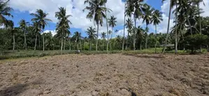 Commercial Land for Sale in Divulapitiya (sp1057)