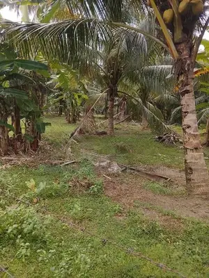 Land for Sale in Bandaragama (sp1060)