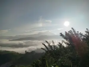 Hali Ela : 2 Acres Land for Sale