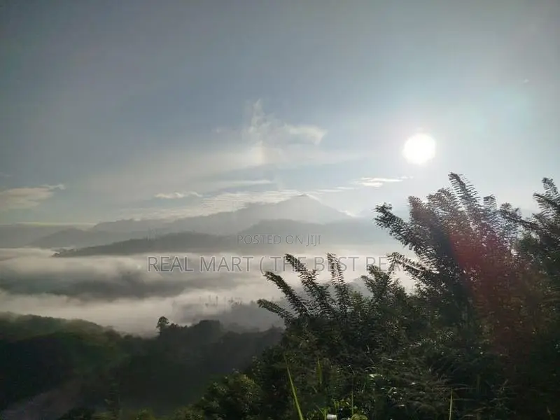 Hali Ela : 2 Acres Land for Sale