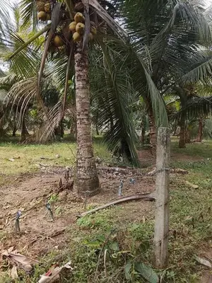 Land for Sale in Bandaragama (sp1060)