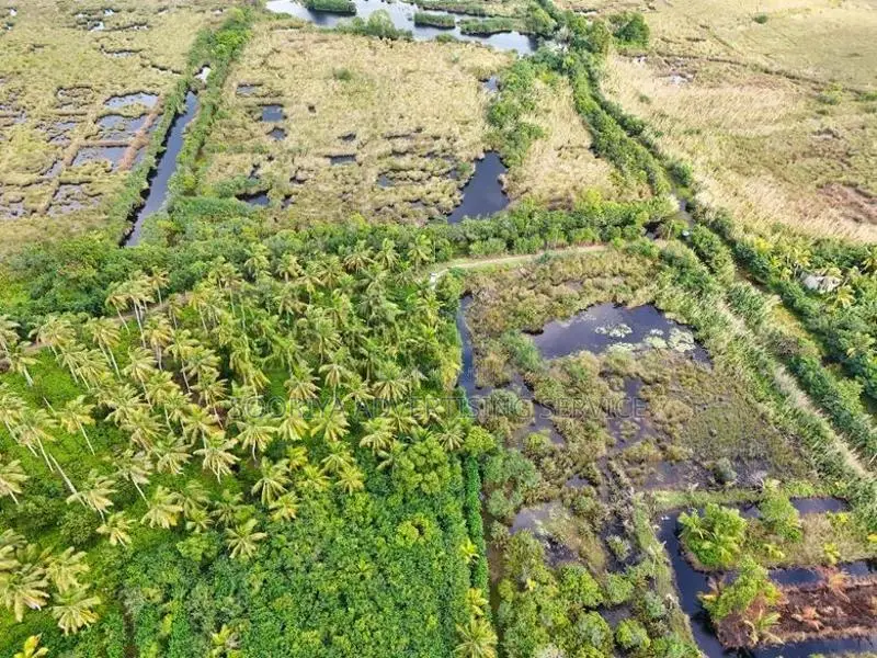 Cultivated Land for Sale in Wattala - Bopitiya