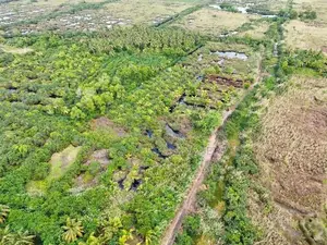Cultivated Land for Sale in Wattala - Bopitiya