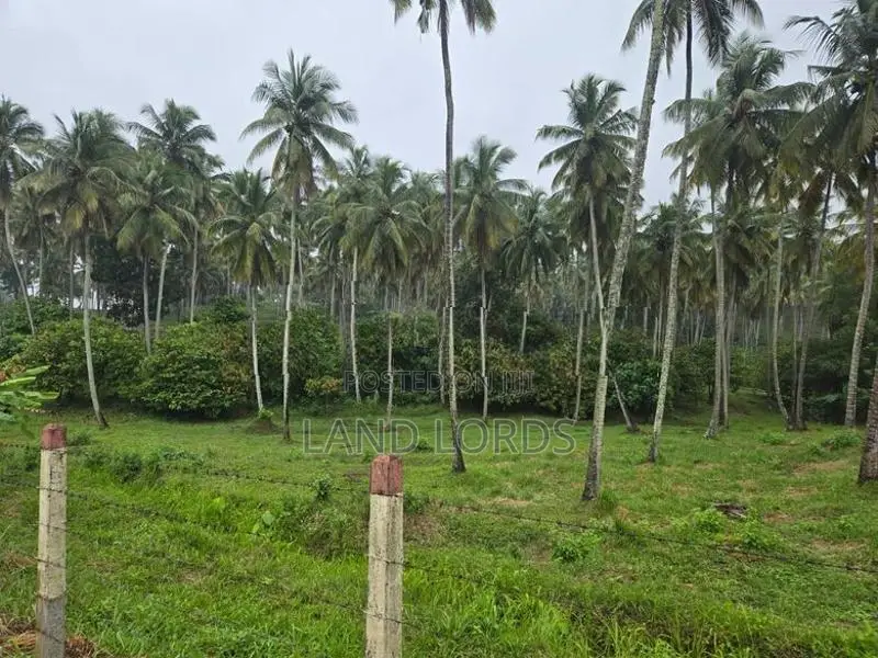 INCOME GENERATING | Premium Coconut Estate in Kurunegala For Sale