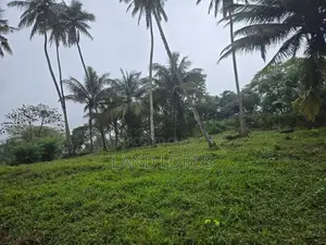 INCOME GENERATING | Premium Coconut Estate in Kurunegala For Sale