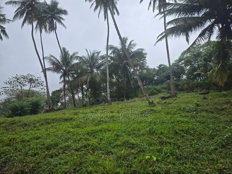 INCOME GENERATING | Premium Coconut Estate in Kurunegala For Sale