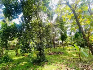 7.5P Superb Land for Sale – Walking Distance to Malabe Town