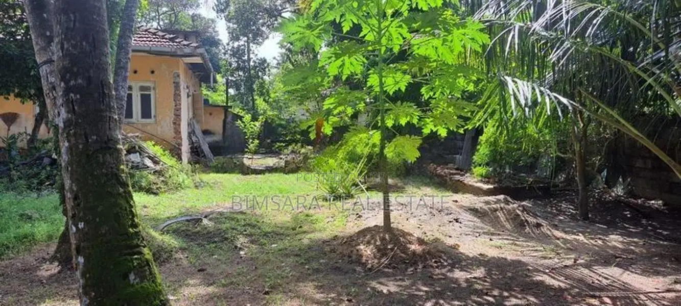 19.6P Prime Residential Land in Panadura | SL14763