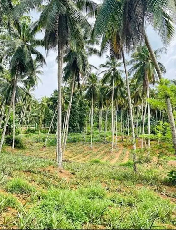 Commercial Land for Sale in Waliweriya (sp1080)