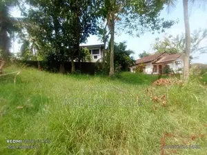 (nsb ) Highly Residential Land for Sale in Makubhura
