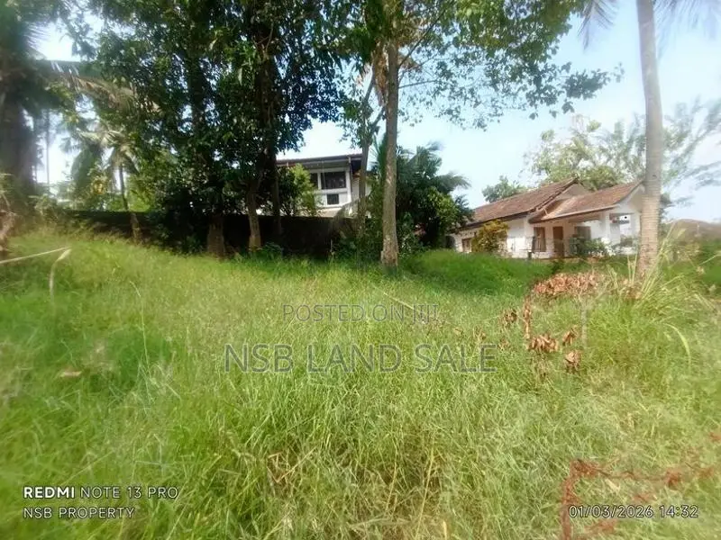 (nsb ) Highly Residential Land for Sale in Makubhura