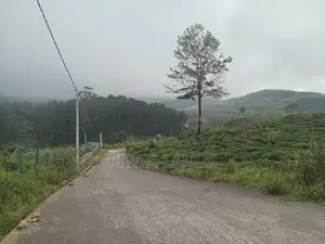 Valuable Land For Sale Nuwara Eliya