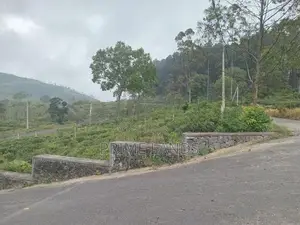 Valuable Land For Sale Nuwara Eliya Road