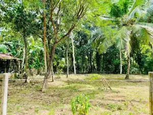 කටුනායක පාරට මීටර් 600 යි බිම් කොටස