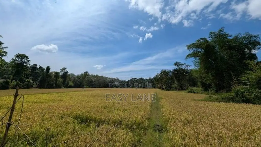 හංවැල්ල - මල්වාන බස් පාරට මායිම්ව ව්‍යාපාරික ඉඩමක්