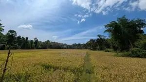 හංවැල්ල - මල්වාන බස් පාරට මායිම්ව ව්‍යාපාරික ඉඩමක්
