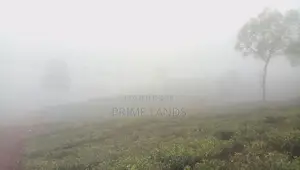 Forest View Point Land For Sale Nuwara Eliya