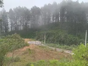 Land For Sale Nuwara Eliya