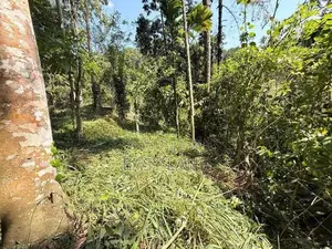 Land for Sale in Kandy