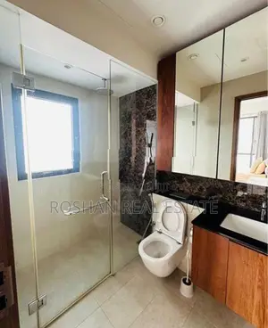 LUXURY FULLY FURNISHED APARTMENT FOR RENT COLOMBO 2 NU2288
