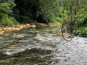 කිරිඳි ඔයට මායිම්ව ඉඩමක් විකිණීමට