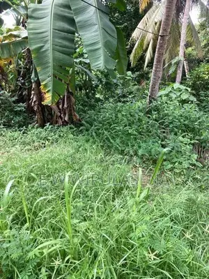 28.7 PERCH LAND FOR SALE in Malabe
