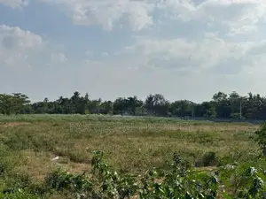 Commercial Land for Sale in Wattala