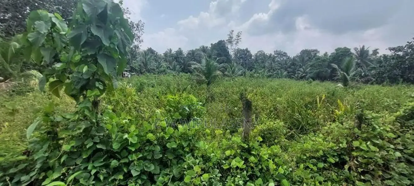 10 Perch land for Sale in Godagama