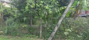 Land in a Gated Community for Sale Homagama